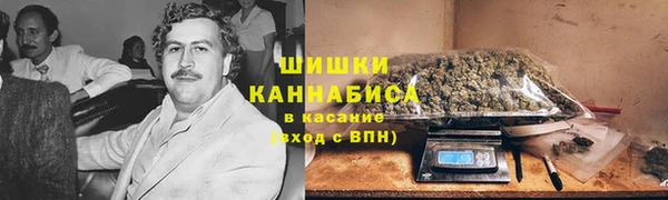 spice Алзамай