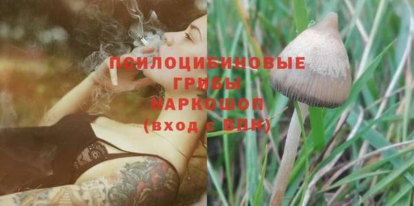 spice Алзамай