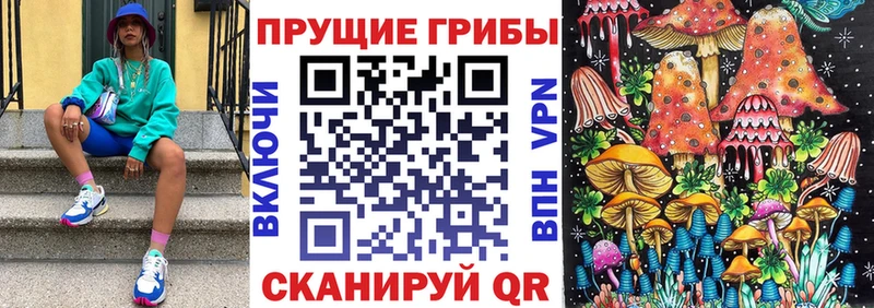 закладка  Абинск  Галлюциногенные грибы прущие грибы 